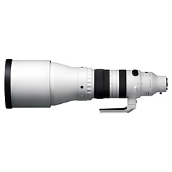 SIGMA(VO}) JY 300-600mm F4 DG OS Sports m\j[E /Y[Yn