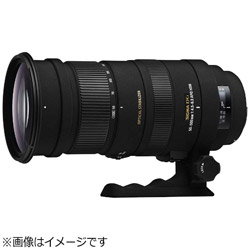 カメラレンズ APO 50-500mm F4.5-6.3 DG OS HSM  ブラック  ［ニコンF /ズームレンズ］