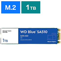 内蔵SSD SATA6G接続 WD Blue SA510  WDS100T3B0B ［1TB /M.2］
