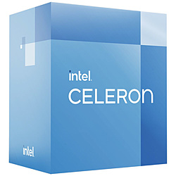 Intel Celeron G6900 Processor