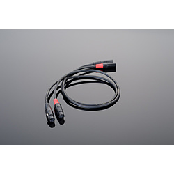 インターコネクトケーブル 3m HWBL10