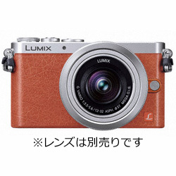 中古】LUMIX DMC-GM1-D ボディ [オレンジ] [2133030938116] - リコレ