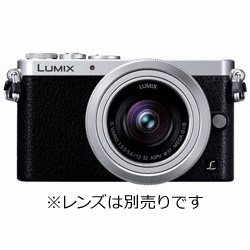 中古】LUMIX DMC-GM1-S ボディ [シルバー] [2133032403629] - リコレ