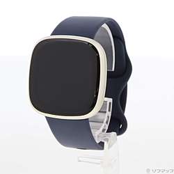 fitbit Versa 2 グレー美品中古⭐︎ 宅トレから山トレまで Fitbit Fitbit Versa 2 価格比較 - 価格.com