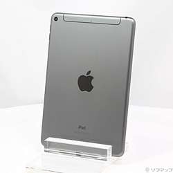 Apple(Abv) kÕil iPad mini 5 256GB Xy[XOC MUXC2J^A SoftBankbNSIMt[ m7.9C`t^A12 Bionicn