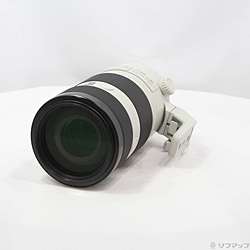 FE 100-400mm F4.5-5.6 GM OSS SEL100400GM