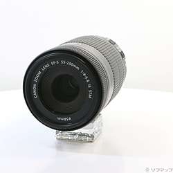 Canon EF-S 55-250mm F4-5.6 IS STM (レンズ)