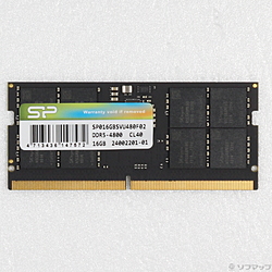 262P PC5-38400 DDR5-4800 16GB