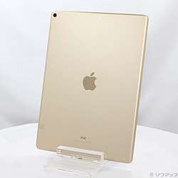 中古iPad Pro 12.9インチ 第2世代 - リコレ！|ビックカメラグループ