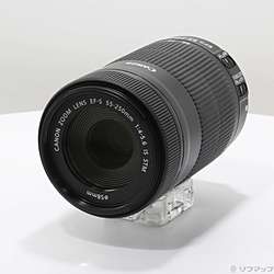 Canon EF-S 55-250mm F4-5.6 IS STM (レンズ)