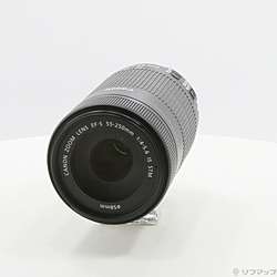 Canon EF-S 55-250mm F4-5.6 IS STM (レンズ)