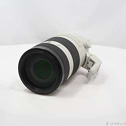 FE 100-400mm F4.5-5.6 GM OSS SEL100400GM