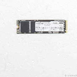 P1 CT1000P1SSD8JP