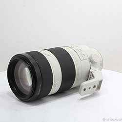 FE 100-400mm F4.5-5.6 GM OSS SEL100400GM