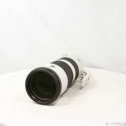 FE 200-600mm F5.6-6.3 G OSS SEL200600G