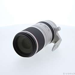 RF100-500mm F4.5-7.1 L IS USM