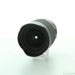 FE 12-24mm F4 G／SEL1224G