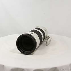 FE 200-600mm F5.6-6.3 G OSS SEL200600G