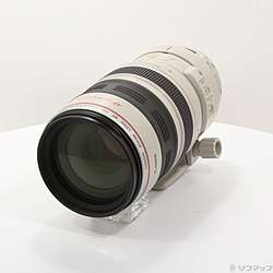 Canon EF 100-400mm F4.5-5.6L IS USM (レンズ)