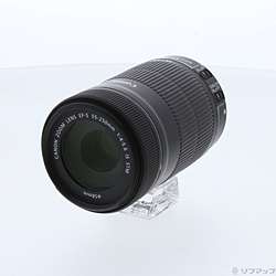 Canon EF-S 55-250mm F4-5.6 IS STM (レンズ)