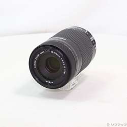 Canon EF-S 55-250mm F4-5.6 IS STM (レンズ)