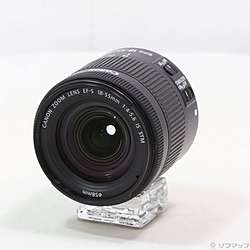 Canon EF-S 18-55mm F4-5.6 IS STM