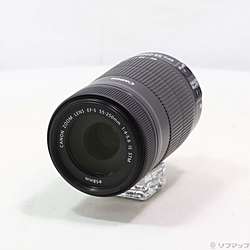 Canon EF-S 55-250mm F4-5.6 IS STM (レンズ)