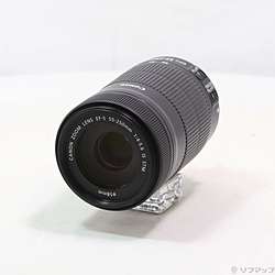 Canon EF-S 55-250mm F4-5.6 IS STM (レンズ)