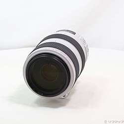 Canon EF 70-300mm F4-5.6 L IS USM (レンズ)