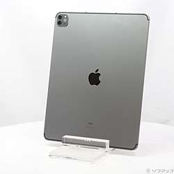 iPad Pro 12.9 第5世代 シルバー 128GB A2378超美品#2 Apple iPad Pro