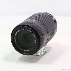 Canon EF-S 55-250mm F4-5.6 IS STM (レンズ)