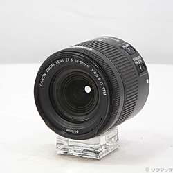 Canon EF-S 18-55mm F4-5.6 IS STM