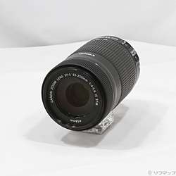 Canon EF-S 55-250mm F4-5.6 IS STM (レンズ)