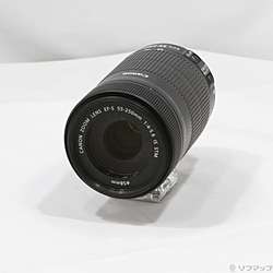 Canon EF-S 55-250mm F4-5.6 IS STM (レンズ)