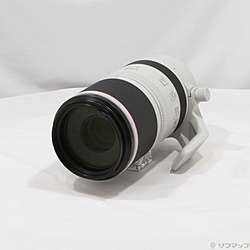 RF100-500mm F4.5-7.1 L IS USM