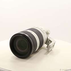 FE 100-400mm F4.5-5.6 GM OSS SEL100400GM