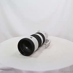 FE 200-600mm F5.6-6.3 G OSS SEL200600G