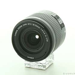 Canon EF-S 18-55mm F4-5.6 IS STM