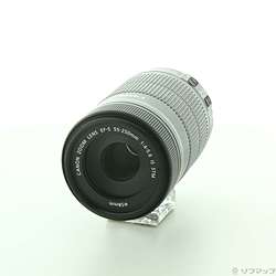 Canon EF-S 55-250mm F4-5.6 IS STM (レンズ)