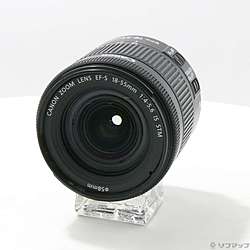 Canon EF-S 18-55mm F4-5.6 IS STM