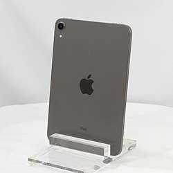 iPad mini (第6世代) wifi256GB スペースグレイ　中古品 iPad mini (第6世代) wifi256GB スペースグレイ 中古品 APPLE 〔中古