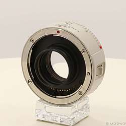 Canon Extender EF 1.4x