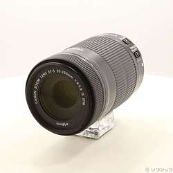 Canon EF-S 55-250mm F4-5.6 IS STM (レンズ)