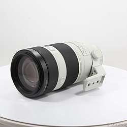 FE 100-400mm F4.5-5.6 GM OSS SEL100400GM