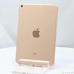 Apple - 中古美品☆Apple iPad mini3 Wi-Fiモデル MGY92J/A 中古】iPad mini 第5世代 64GB ゴールド MUQY2J／A Wi-Fi ［7.9