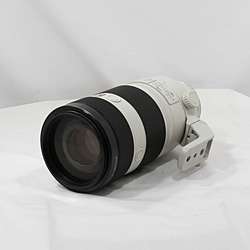 FE 100-400mm F4.5-5.6 GM OSS SEL100400GM