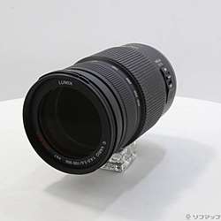 LUMIX G VARIO 100-300mm／F4.0-5.6／MEGA O.I.S (H-FS100300)