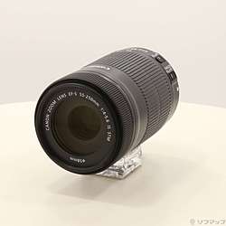 Canon EF-S 55-250mm F4-5.6 IS STM (レンズ)