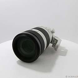 FE 100-400mm F4.5-5.6 GM OSS SEL100400GM