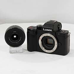 LUMIX G100 標準ズームレンズキット ブラック DC-G100K-K